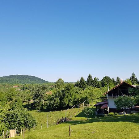 Guest House Pinus Generalski Stol エクステリア 写真